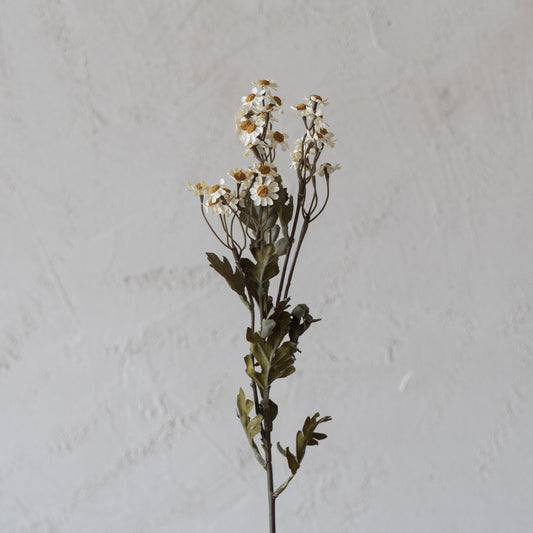 Oxeye Daisy White - Anzac Artificial Flower  (White)